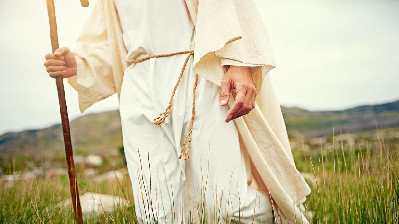 The Portrait of a False Teacher  | 2 Peter 2:1-3 |  Sunday School, 3/8/26