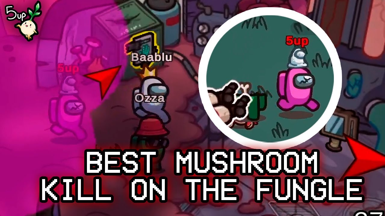 I've done the best KILL ever on the FUNGLE