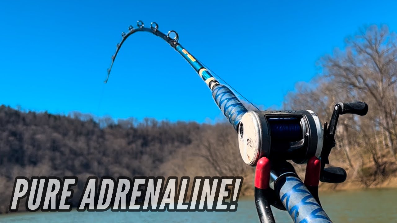 Great Place To Find Monster Catfish During Late Winter/Early Spring!  (Big Fish Caught)