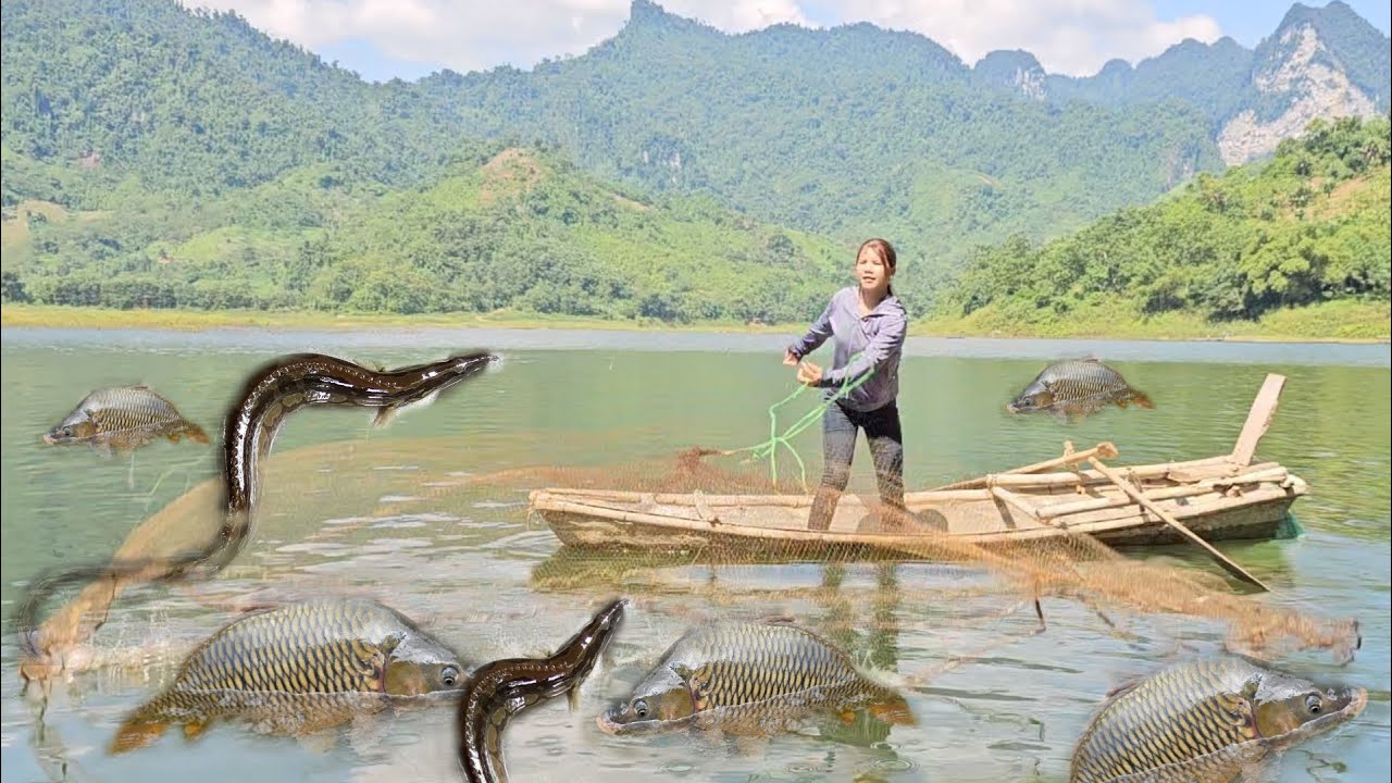 FULL VIDEO: Taking care of ducks, fishing, trapping loach fish, the girl's life on the lake.
