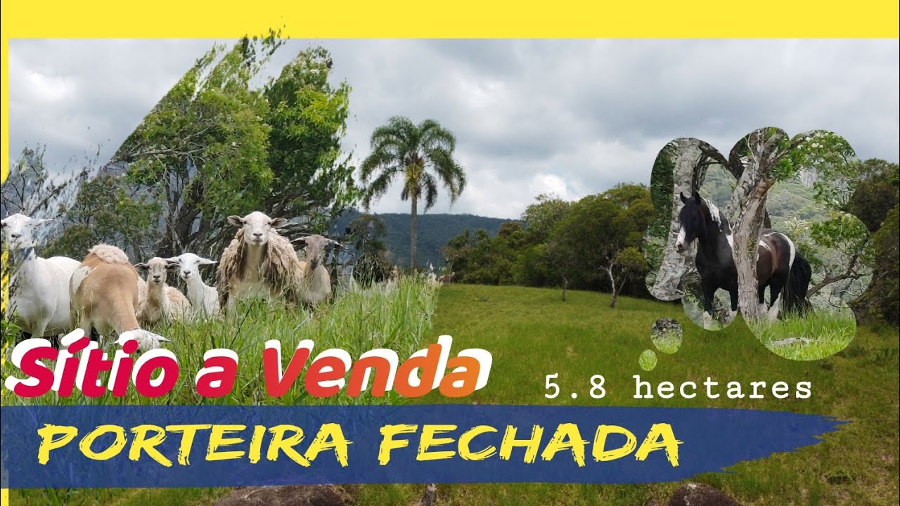 Sítio na Grande Florianópolis - 5.8 hectares - PORTEIRA FECHADA! com animais 🐑🐮🐴