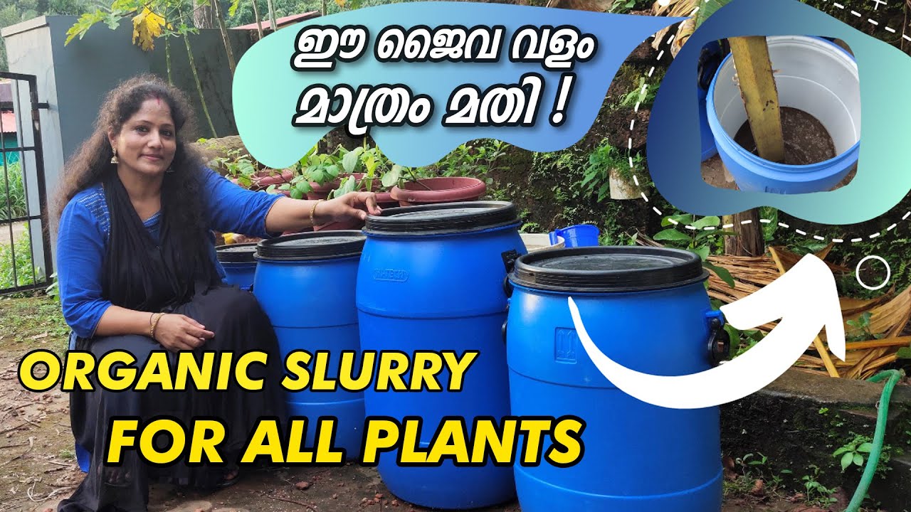 ജൈവ വളം വീട്ടിൽ  EASY ആയി തയാറാക്കാം | How to make Jaiva Slurry/Organic Manure Easily In Malayalam
