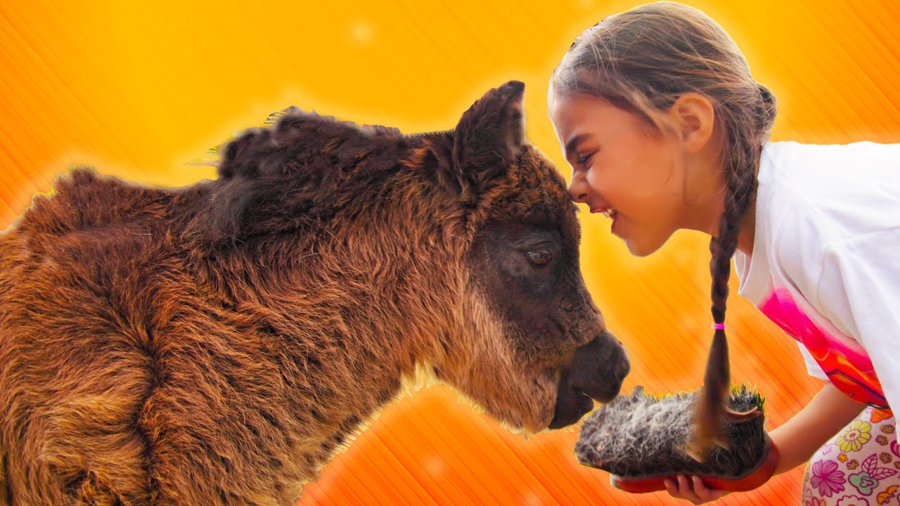 Horseback Riding Adventure! | Learn Spanish | Kids Educational Video