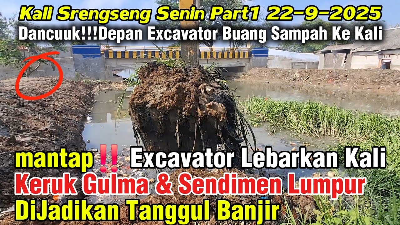 Mantap‼️ Excavator Lebarkan Kali Keruk Gulma & Sendimen Lumpur DiBuat Tanggul Banjir #dedimulyadi