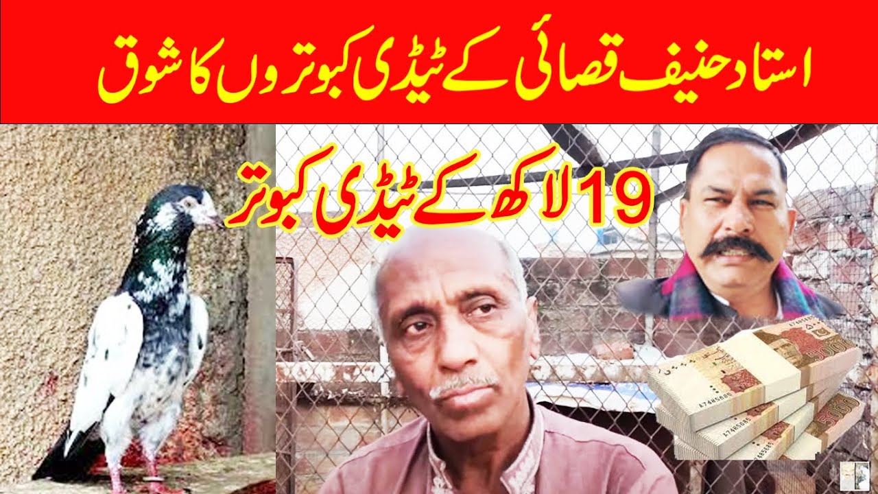 19 lakh ki keemat wake kabootaro ka shoq