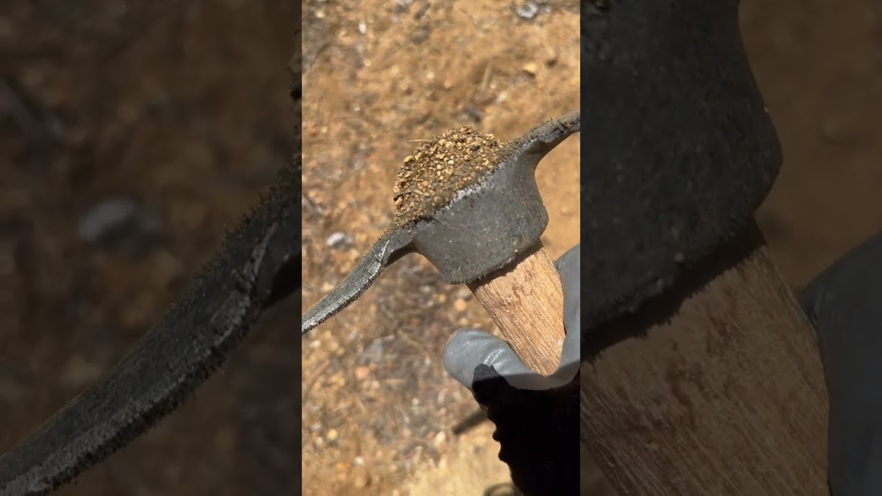 Deus 2 HF2 Coil VS Manticore M8 Coil Prospecting Modes