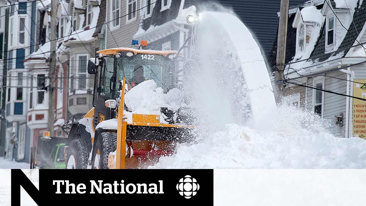 The challenges of cleaning up after the N.L. storm