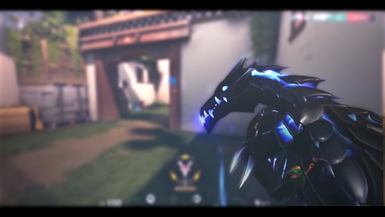 Roses - VALO MONTAGE