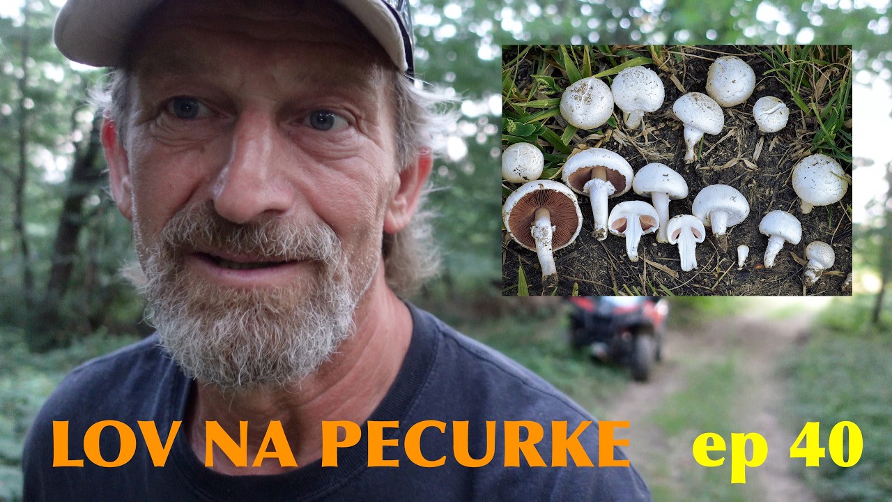 LOV NA PECURKE!