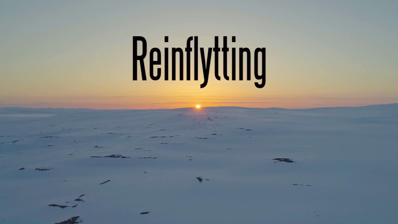 Reinflytting (short version)