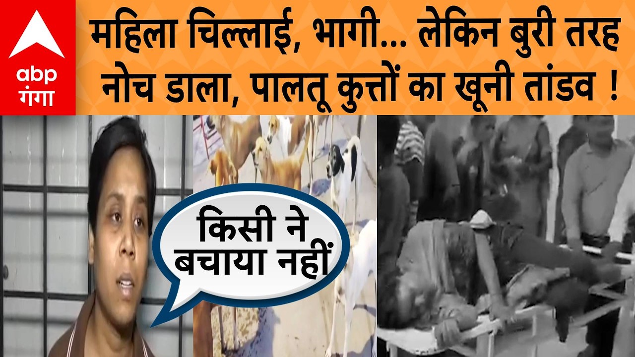 Kanpur News : सावधान! घर के बाहर बंधे पालतू कुत्ते बने 'काल',  कानपुर में महिला पर  हमला