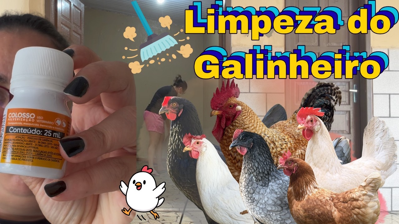 COMO LIMPAR O GALINHEIRO E ACABAR COM OS ÁCAROS E PIOLHOS