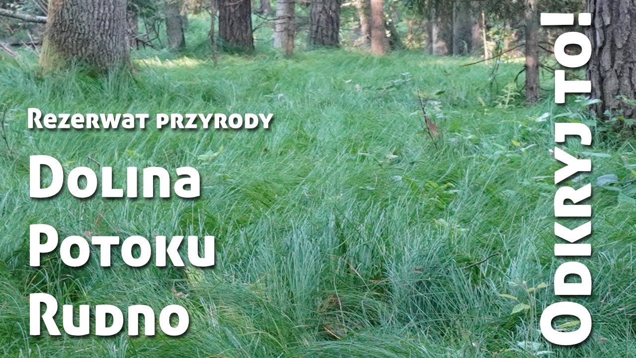 Odkryj to! | Dolina Potoku Rudno | Rudniański Park Krajobrazowy