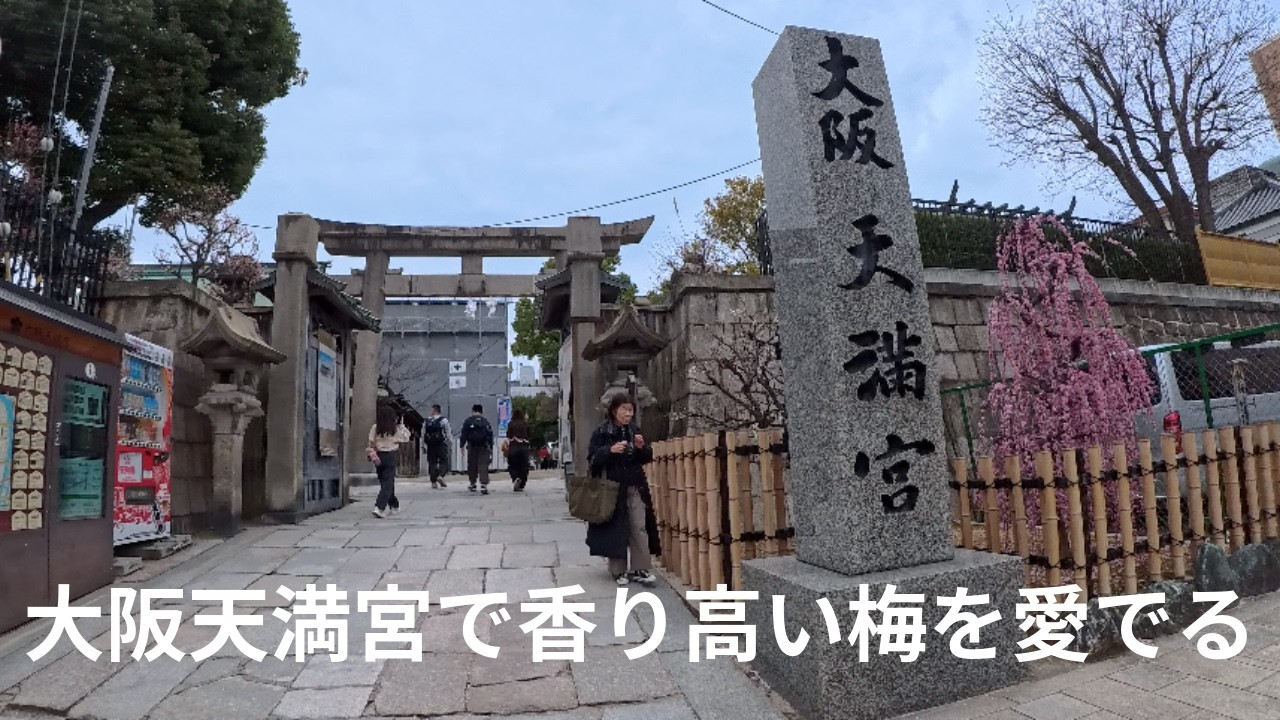 大阪天満宮の梅をさんぽしてみた 2026年2月
