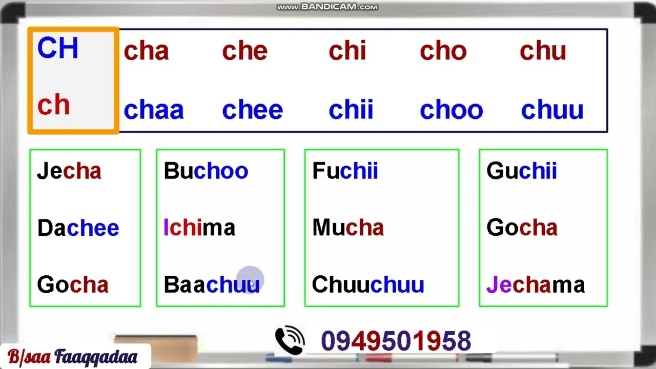 Qubee dachaaf Jechoota isaa