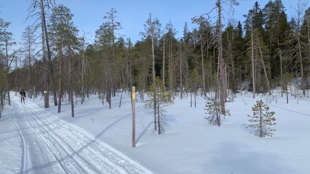 Na běžkách finskou tajgou. Zájezd CK Periscope. Vhodný pro všechny, trasa je rovinatá. #ckperiscope
