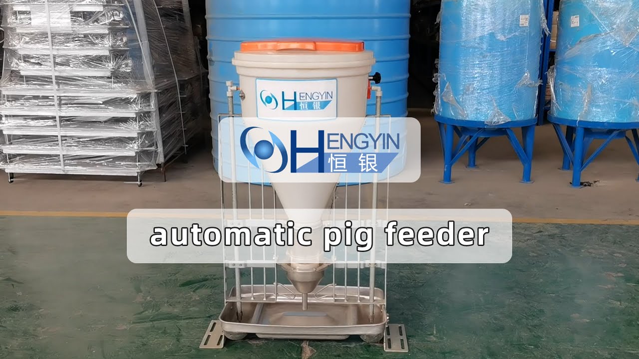Hengyin Pig Farm Equipment automatic pig feeder Introduce&mdash;&mdash;Hengyin