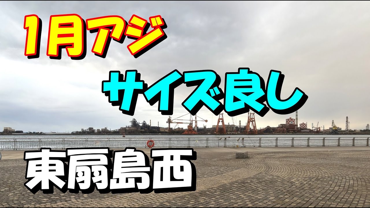 アジ狙い2回釣行　東扇島西公園　朝まずめ　横浜川崎