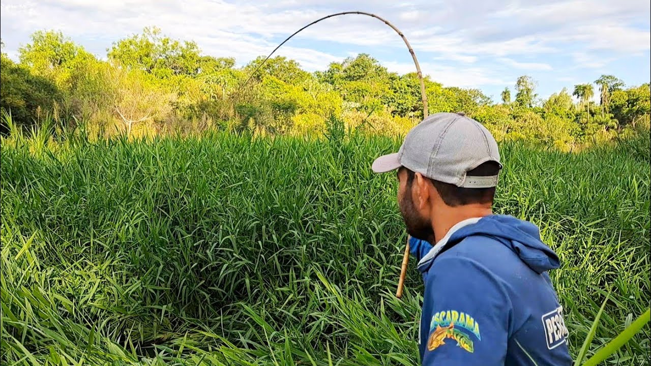 TRAÍRA GIGANTE , MANDI GUAÇU , TODOS OS PEIXES DO RIO ESTAVA AQUI NESSE LUGAR./PESCARIA RAIZ.