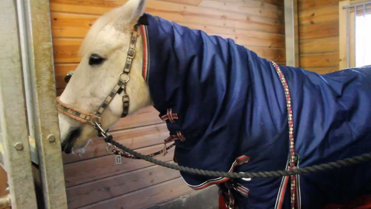 Videopostaus + ekat puomit Voiton saikun jälkeen