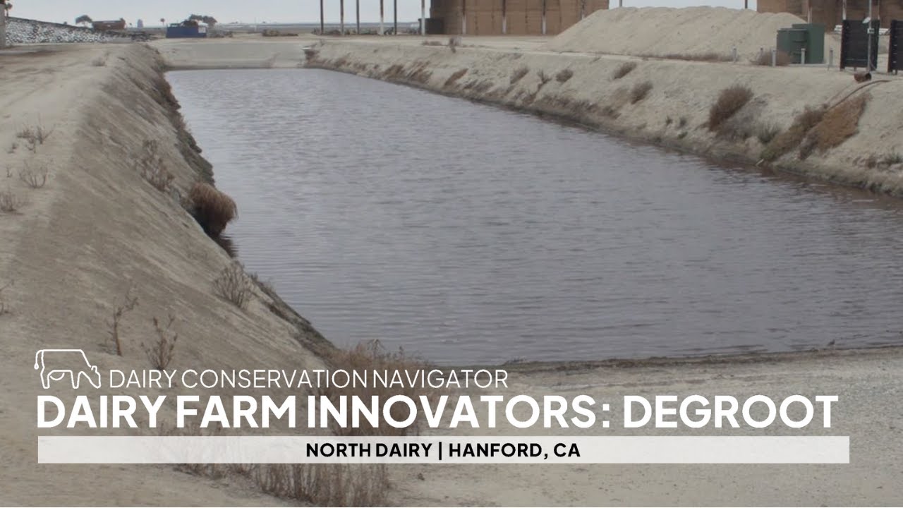 Full-Circle Water Use on a 2,000-Cow Jersey Dairy in California