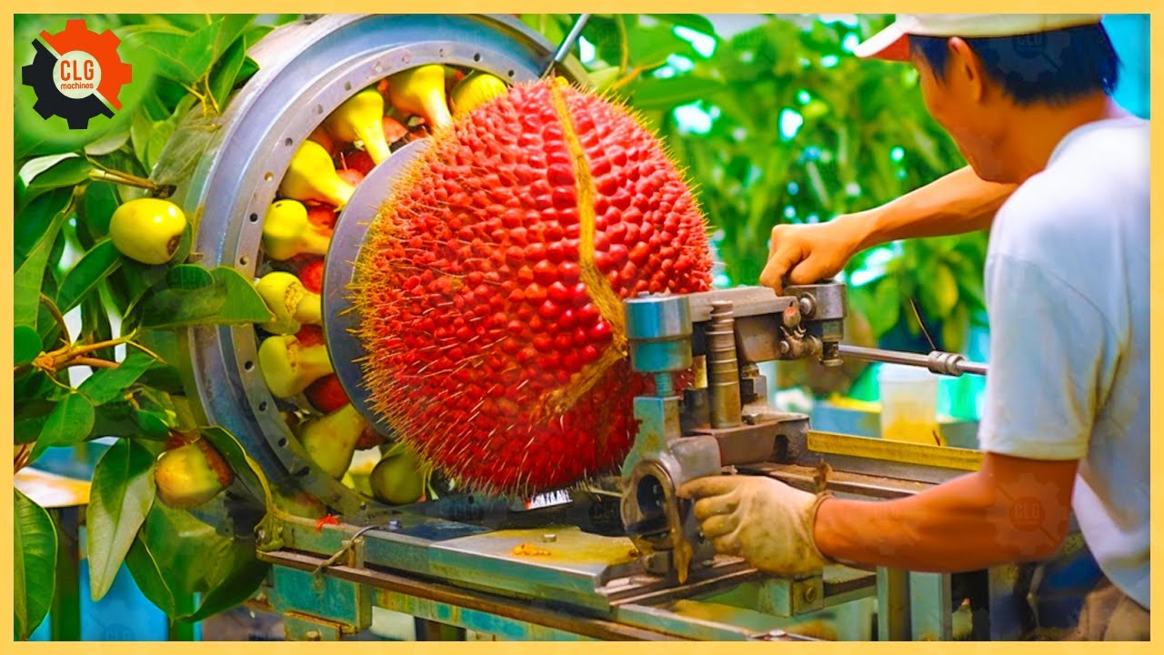 TOP 700 Satisfying Videos in MASS PRODUCTION MACHINES That Are at Another Level ▶4