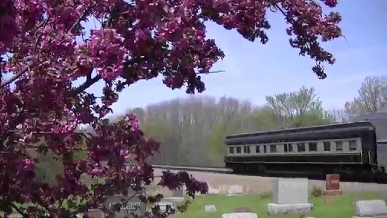 Amtrak with Pullman Car Passes Cherry Blossoms