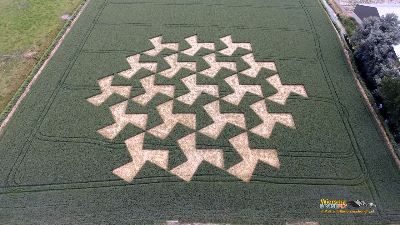 Landschapsproject Ode aan M  C  Escher op het Bildt