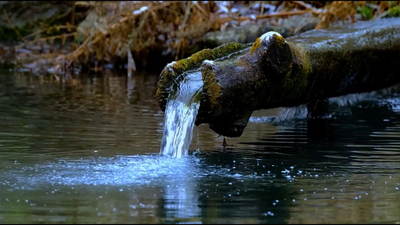 The Forest Spring | 10 Hours of Relaxing Water Sounds