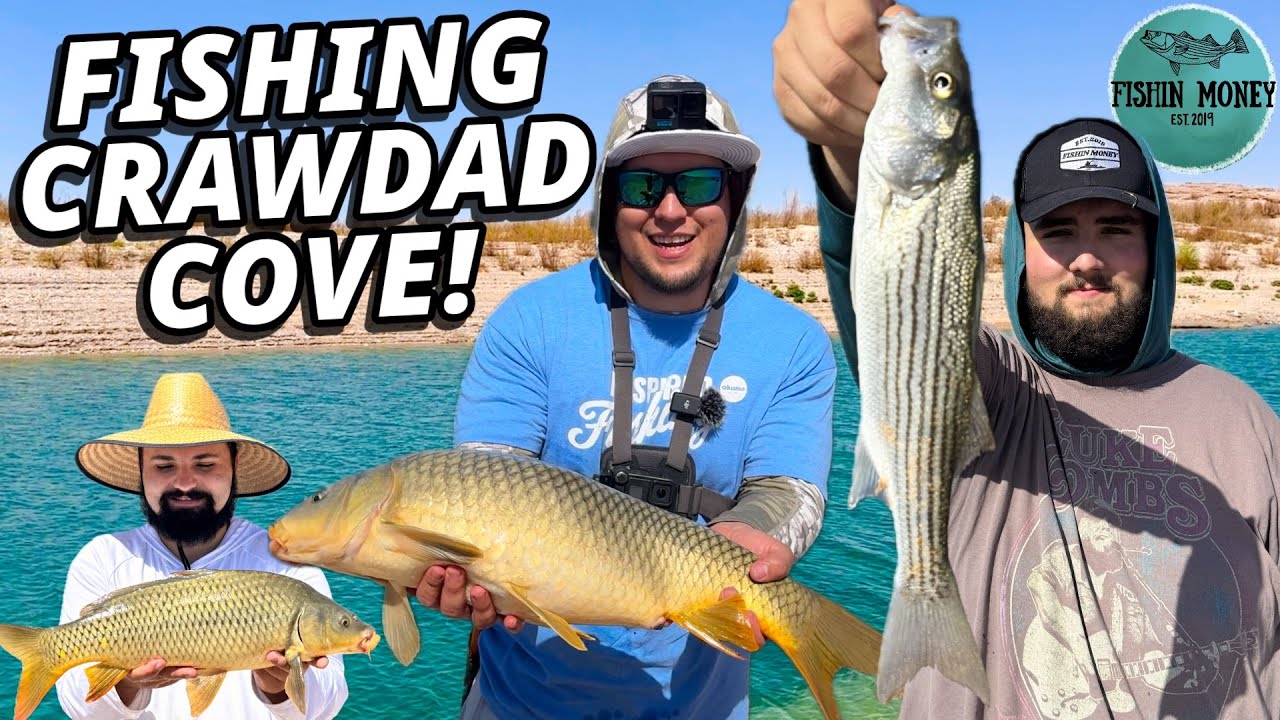 Fishing Crawdad Cove Lake Mead – Striper Boil Action & Big Catches From Shore (@All In Fishing)