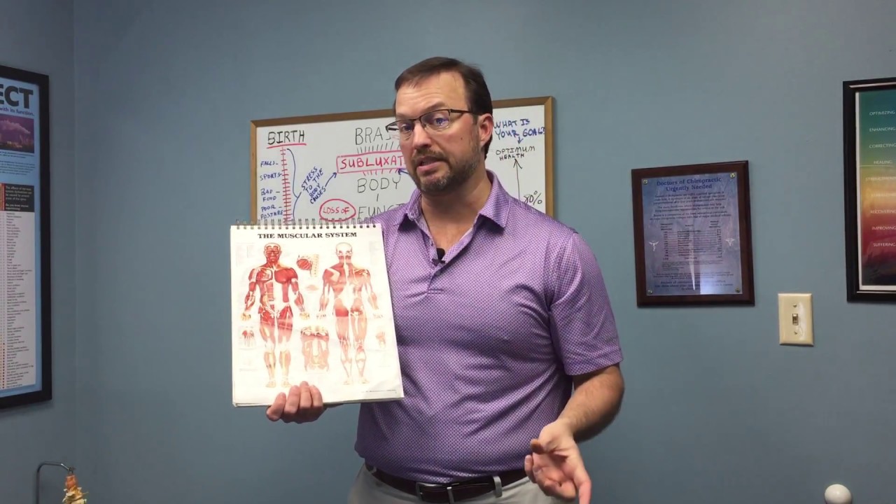 Basic Concepts: How does Trigger Point Therapy Work