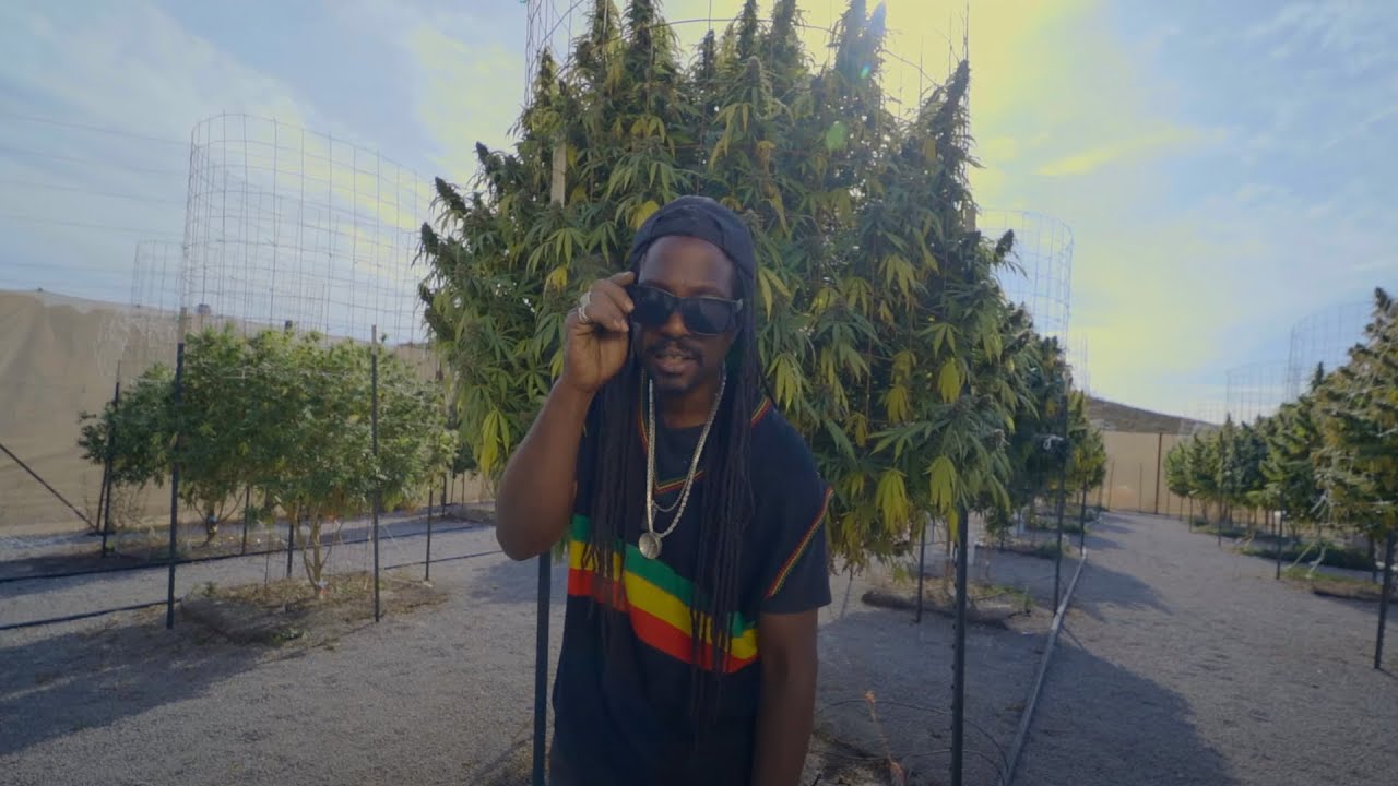 Michael Gabriel - Red Eye - ft Dooby Logic (Official Video)