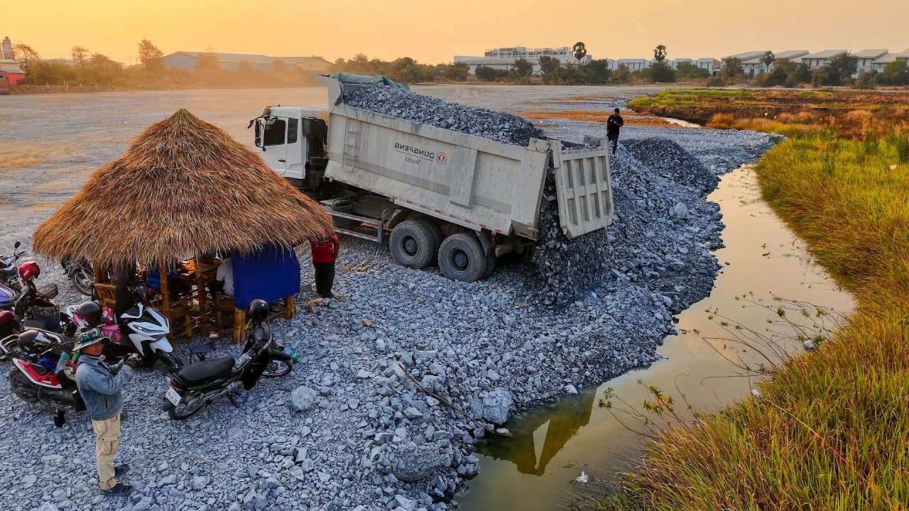 Start New Project!! Truck 25.5Ton & Dozer Spread Soil into Flood in action.