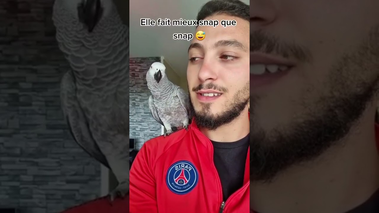Notification de Snapchat #snapchat #snap