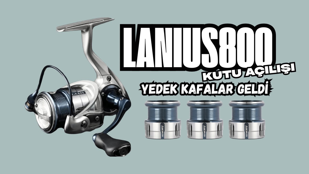 Tsurinoya Lanius 800 Kutu Açılışı: Yedek Kafalar