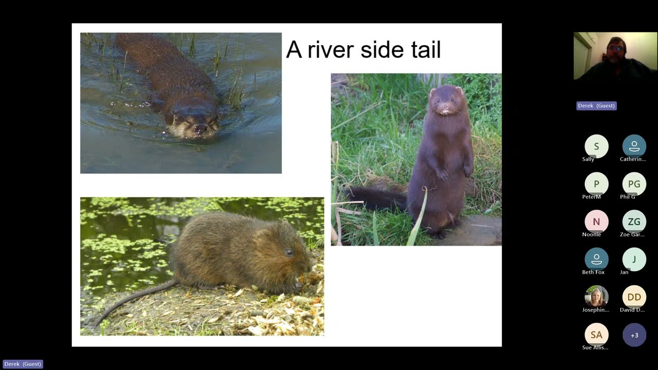Leicestershire & Rutland Badger Group - UK Mammals - The changes I have seen in my lifetime