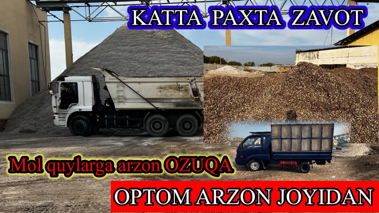 OPTOM ARZON NARXLARDA. CHORVALAR UCHUN. ARZON OZUQA. Dastafka Kelishiladi.