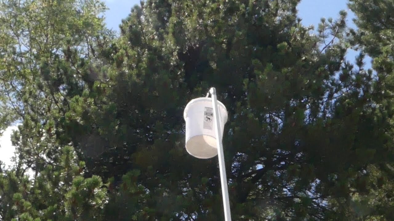 Get a Swarm out of a Tree