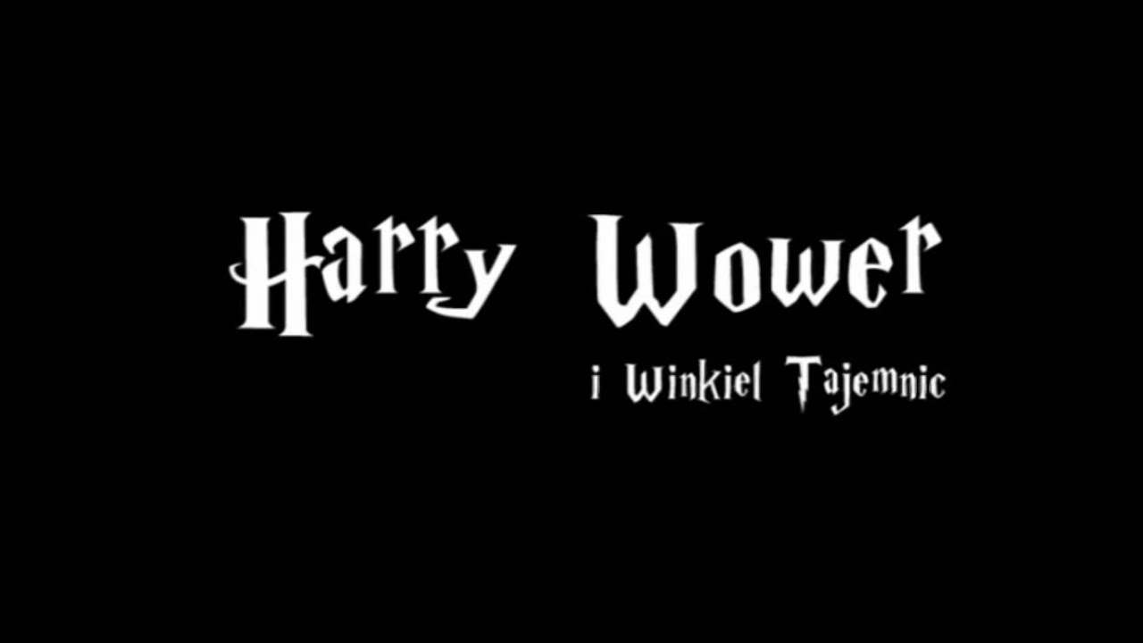 Harry Wower i Winkiel Tajemnic - Wybory w słowaku - 2009r.