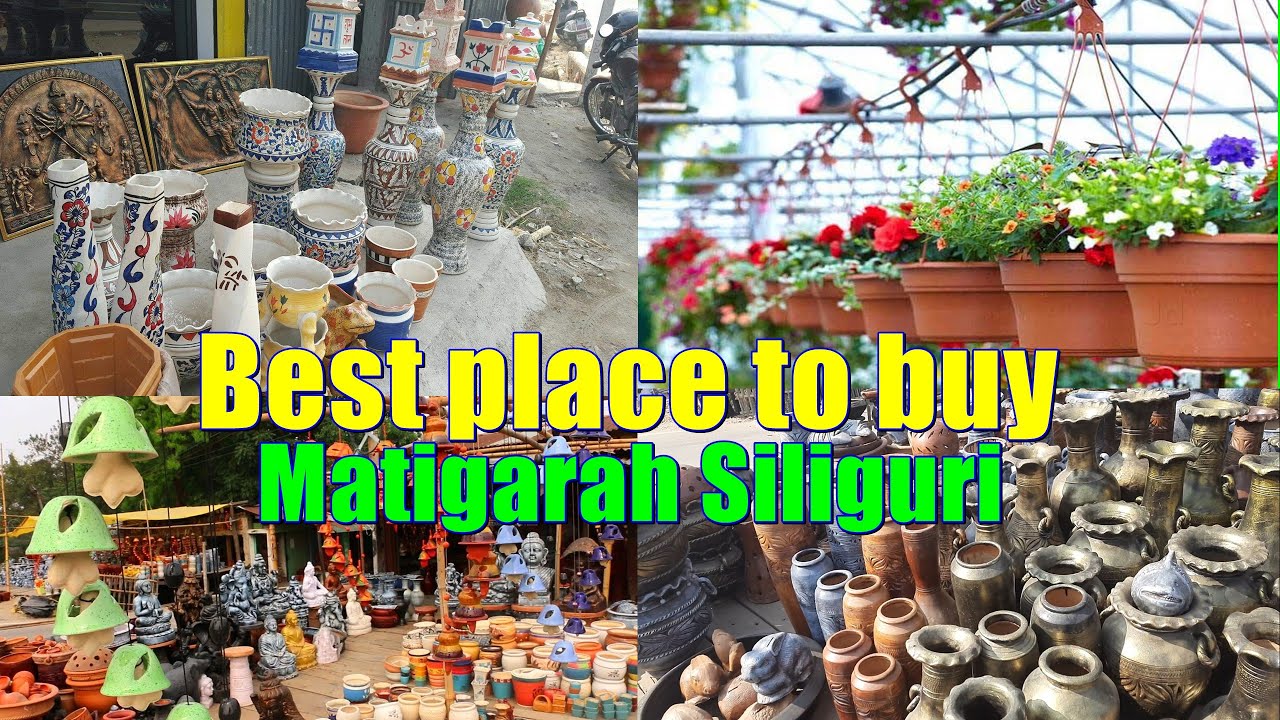 Best place to buy flowers | Flower seeds | Plants| Matigarah Siliguri City