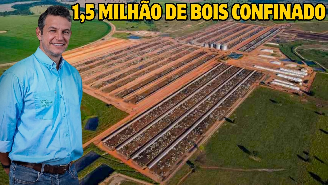 Conheça a Fazenda Conforto o Maior Confinamento de Gado Do Brasil