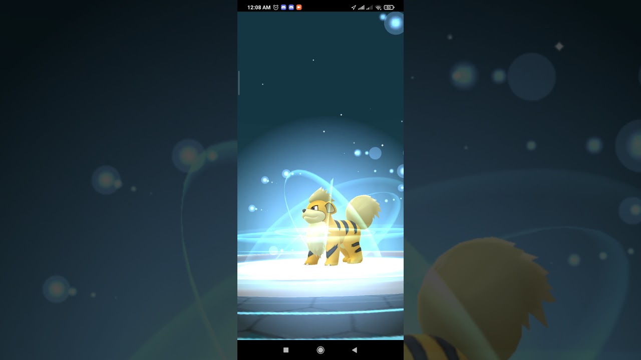 evolving shiny growlithe Pok&eacute;mon GO