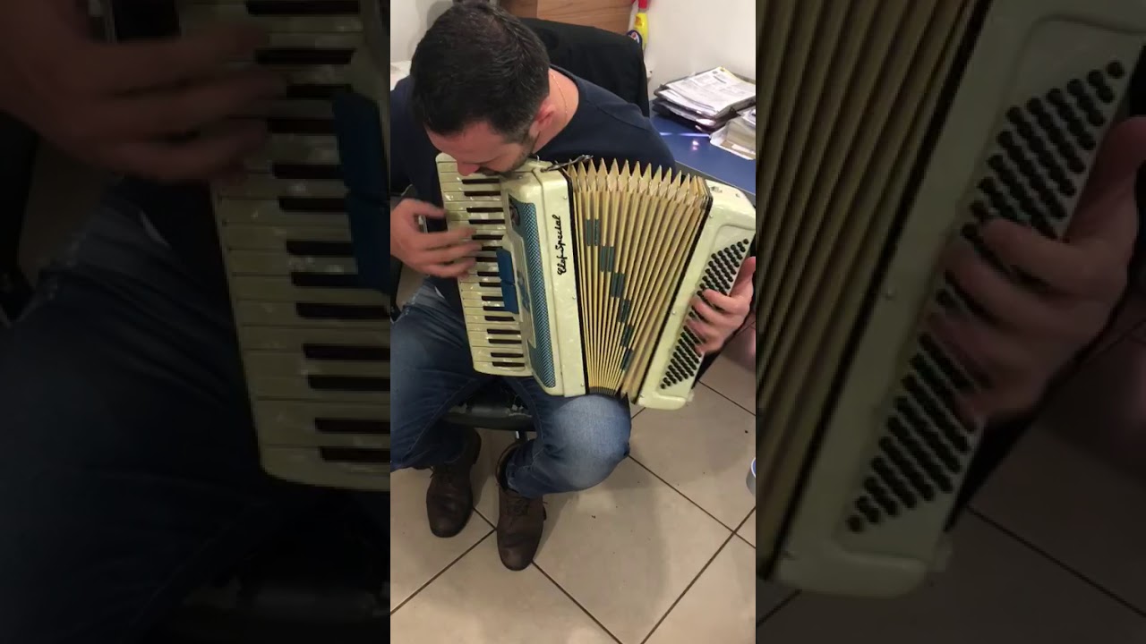 Acordeon sanfona Gaita 120 reduzida