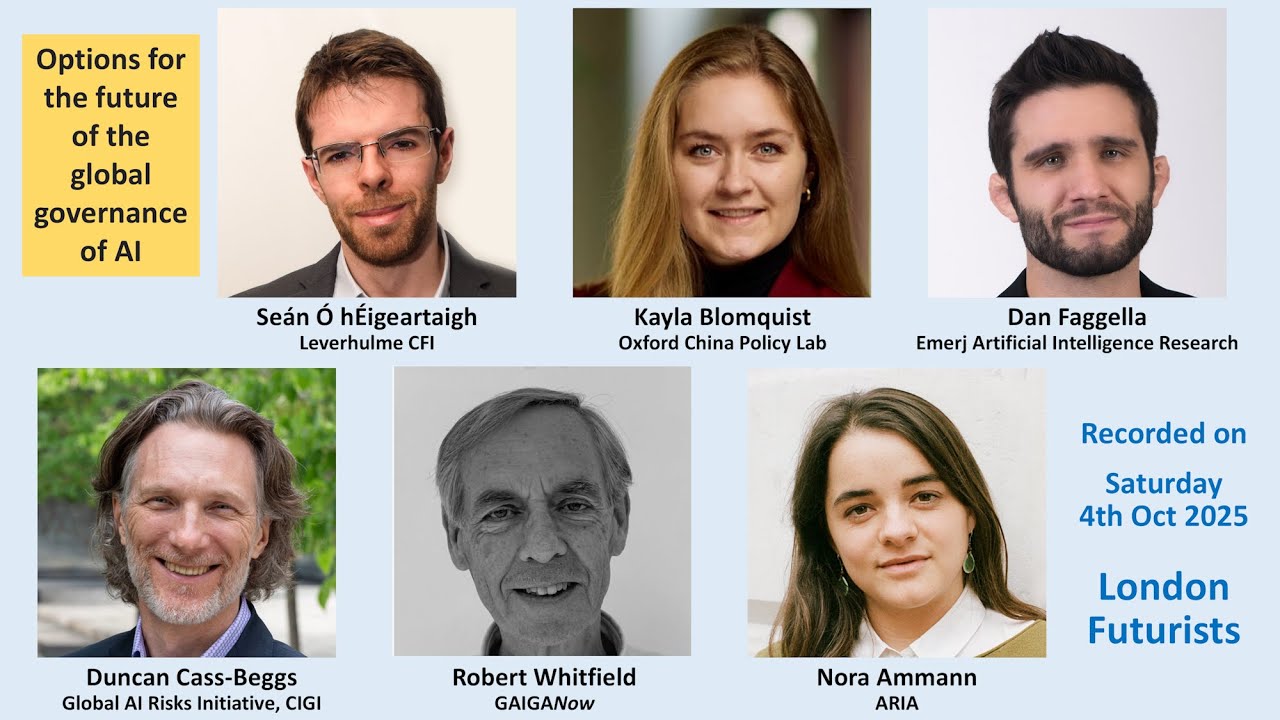 Options for the future of the global governance of AI