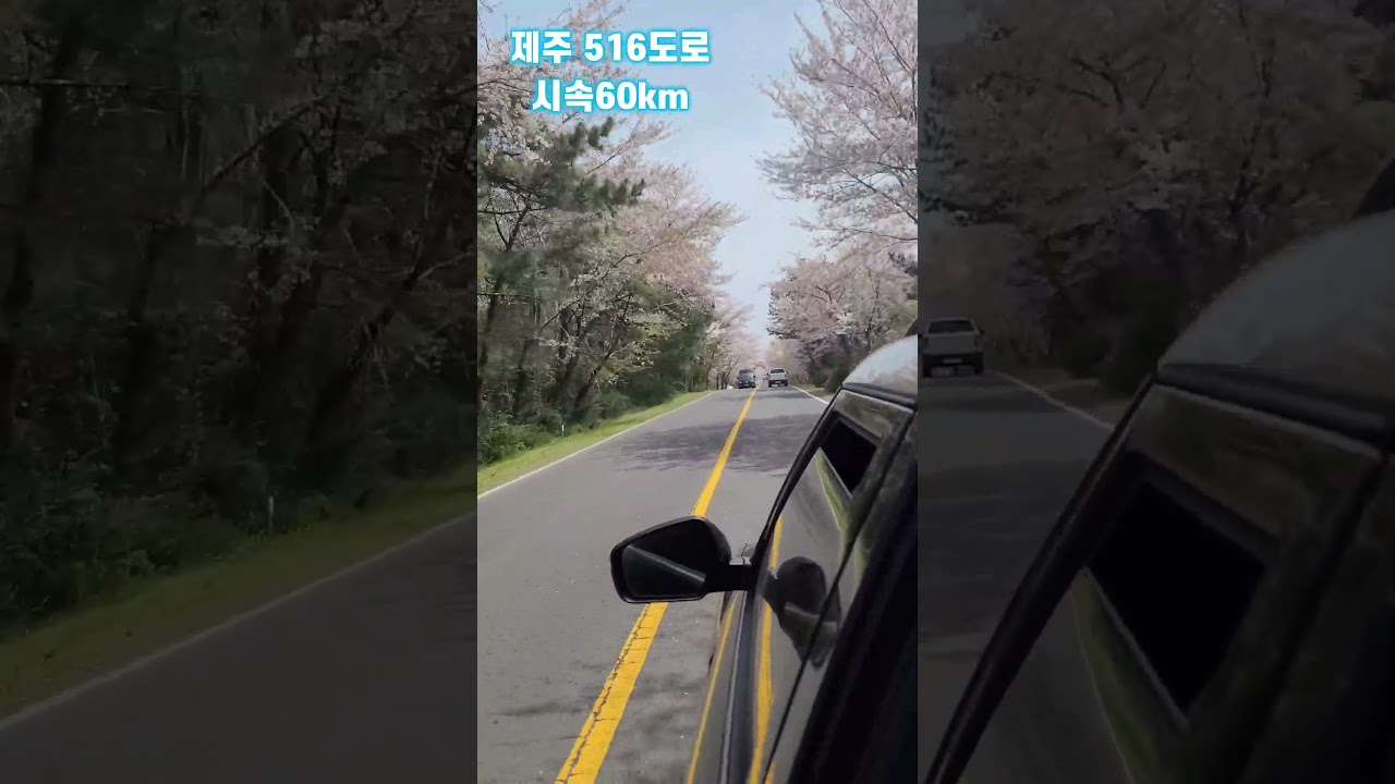 [여행]제주 516 도로 시속60km |  230401