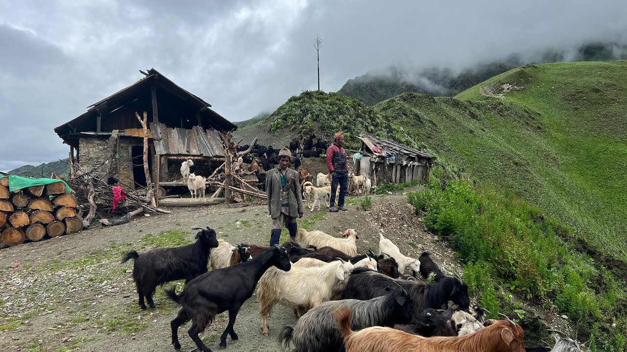 How Nepali Villagers Live Closely with Nature | Mountain Life IamSuman