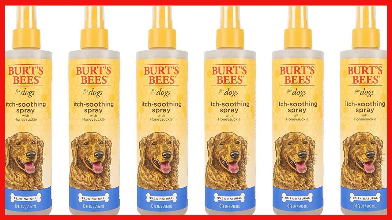 Burt's Bees for Dogs Itch Soothing Spray with Honeysuckle | Best Anti-Itch Spray for Dogs With Itchy