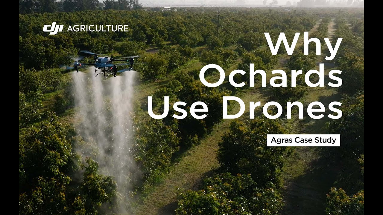 Why Orchards Use Drones