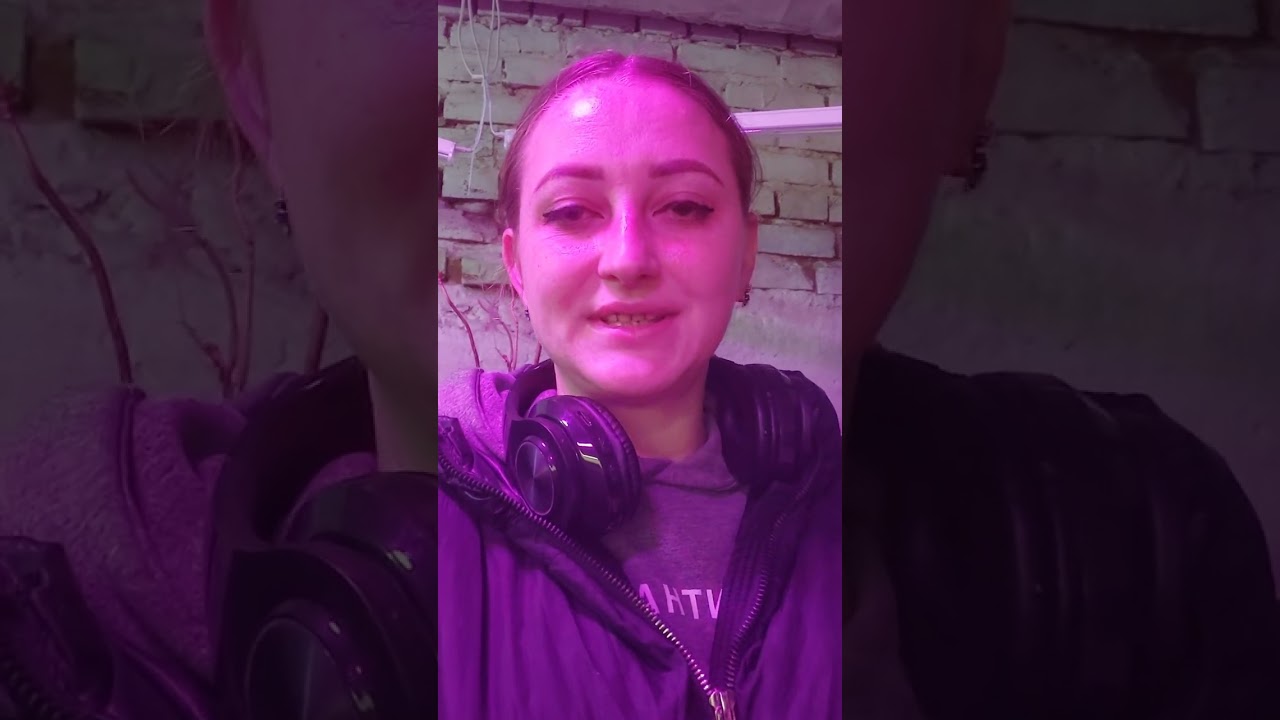Снова поливаю без листа ГОРТЕНЗИЮ КРУПНОЛИСТНУЮ ЗИМОЙ!04.01.26