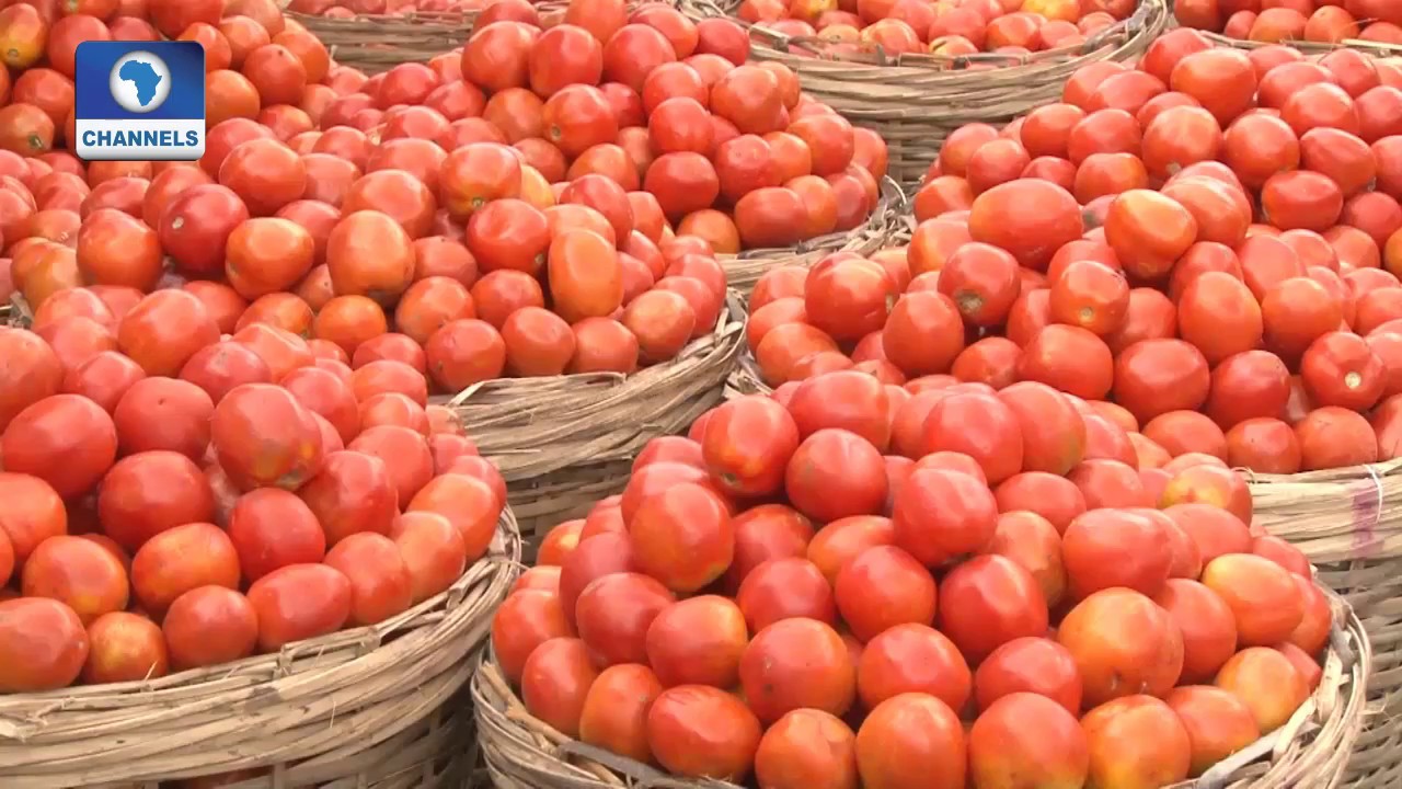 Focus On Mile 12 Market, Lagos Pt.2 |Community Report|